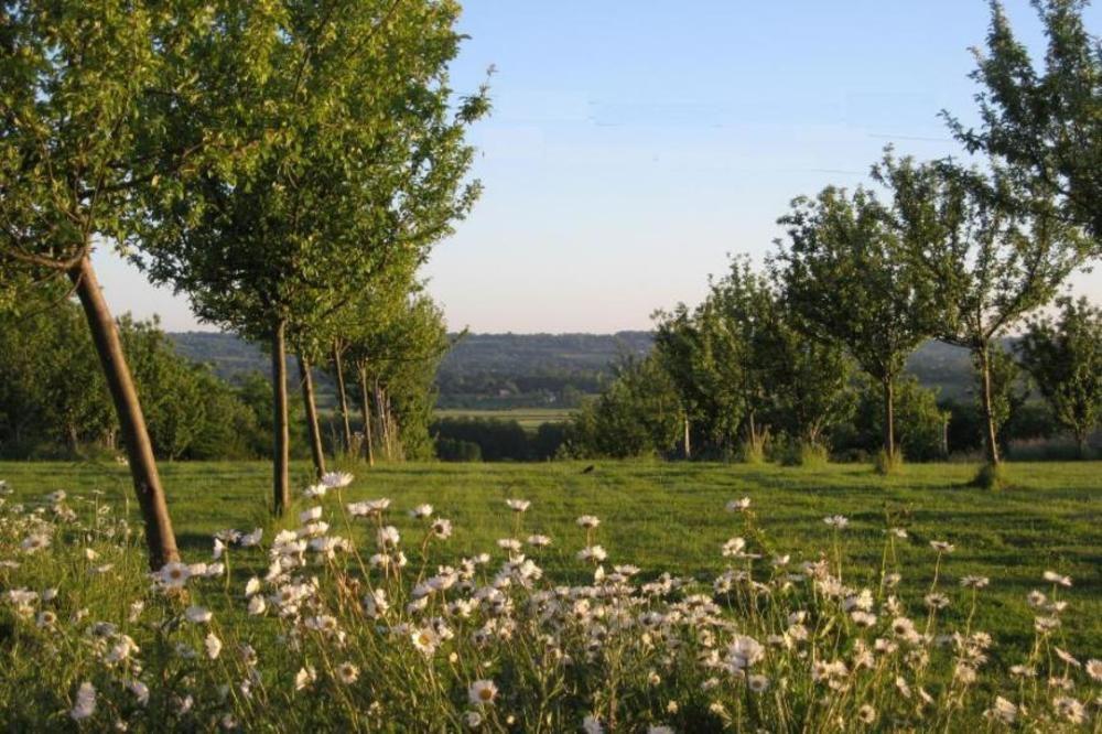 Le Mont D'Auge Bed and Breakfast Canapville  Zewnętrze zdjęcie